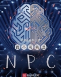 我不可能是NPC