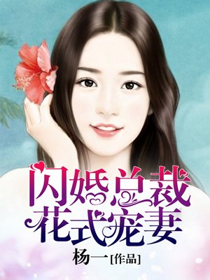 閃婚總裁花式寵妻