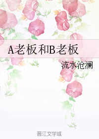 a老闆和b老闆