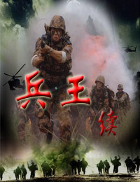 兵王續