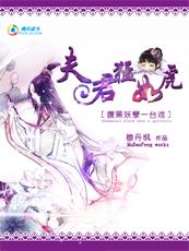 腹黑王爺盜墓妃 又名:腹黑妖孽一臺戲:夫君猛如虎