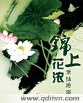 錦上花濃(起點V文)