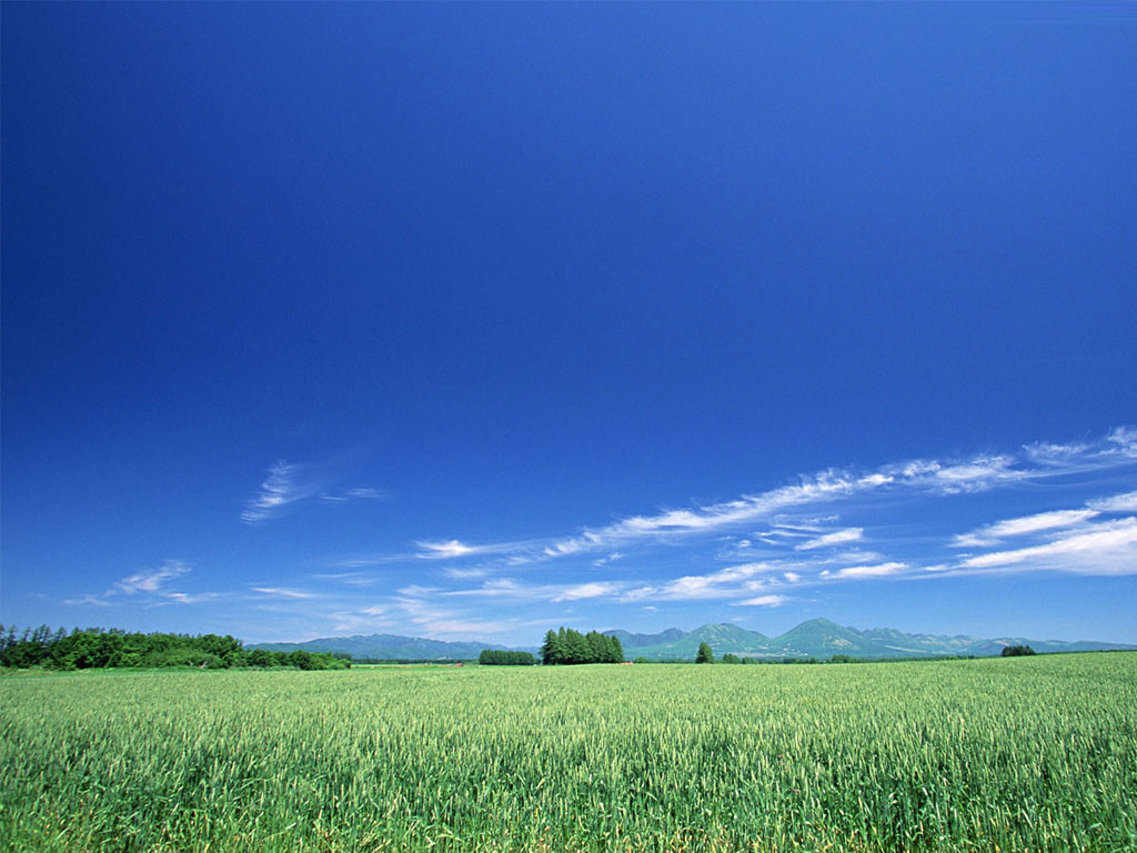 豐水東注