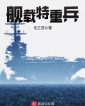 艦載特重兵