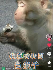 變成猴子後每天都在發瘋打人